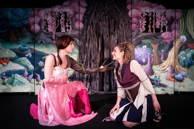 Photo 1 de La princesse Sakura