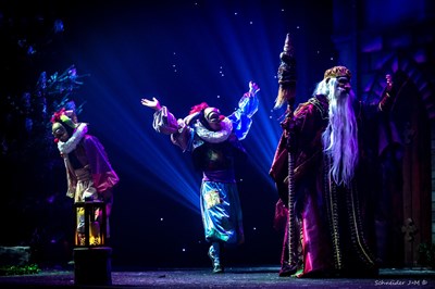 Photo 4 de Les Enchanteurs de Noël