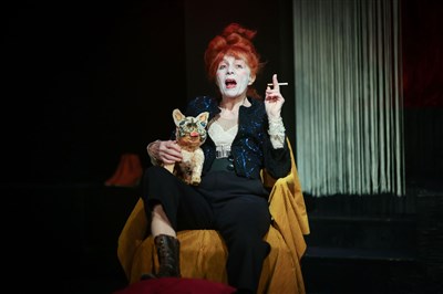 Photo 3 de Colette au Music-Hall