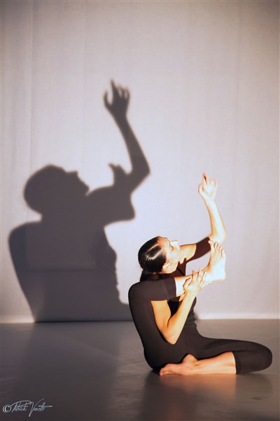 Photo 3 de Anima : Hommage à Jean Cocteau