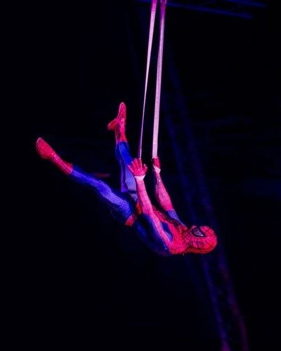 Photo 3 de Cirque La piste aux étoiles | - Castres