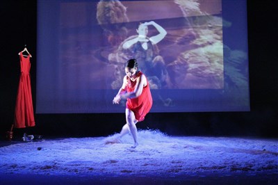 Photo 2 de Domus Terra