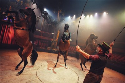 Photo 15 de Arbre | par le Cirque Théâtre Bormann