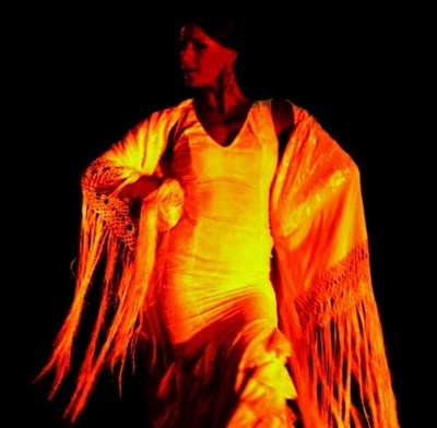 AL ANDALUS FLAMENCO NUEVO