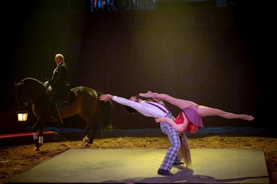 Photo 1 de Compagnie Alexis Gruss dans Les Folies Gruss