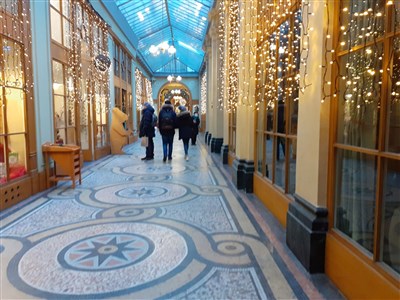 Photo 1 de Visite des passages couverts en visioconférence | par Raphaelle Crevet