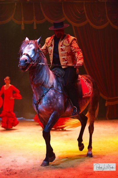 Photo 1 de Cirque Nicolas Zavatta Douchet | Tours