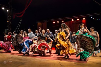 Les Romanes nomades