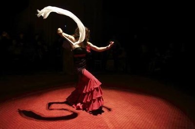 Photo 4 de Flamenco à Paris