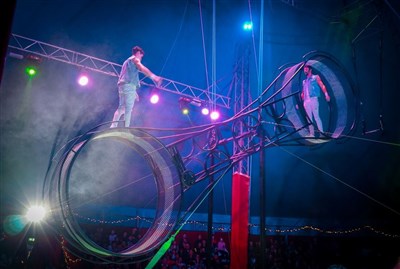 Photo 4 de Cirque Nicolas Zavatta Douchet | Tours