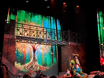 Photo 2 de Merlin le Musical