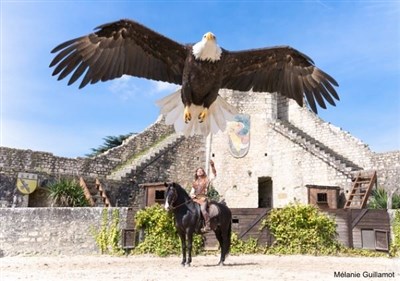Photo 1 de Les Aigles des Remparts