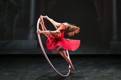 Photo 5 de Le Cirque Eloize dans Cirkopolis