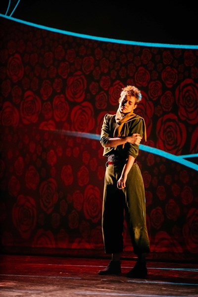 Photo 2 de Le Petit Prince