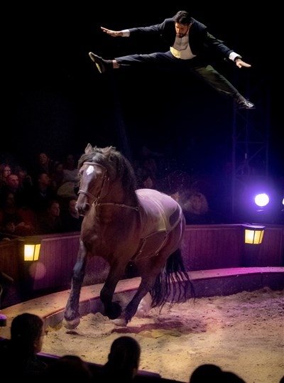 Photo 6 de Compagnie Alexis Gruss dans Les Folies Gruss