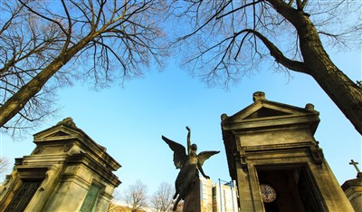 Photo 2 de Visite enquête : Le fantôme du cimetière du Montparnasse | par Cultival