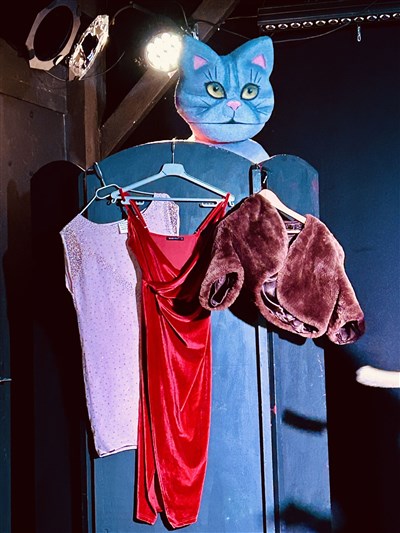 Photo 1 de La revanche de Cendrillon