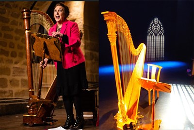 Photo 1 de La Harpe fait son Cinéma
