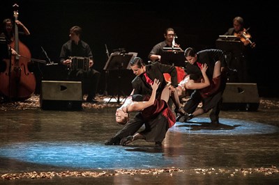 Photo 1 de Buenos Aires Desire Tango Argentina