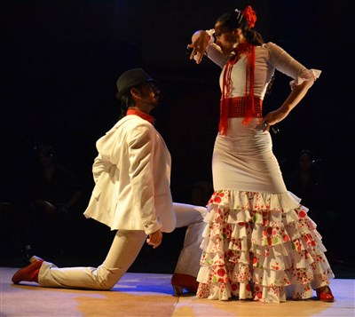 AL ANDALUS FLAMENCO NUEVO