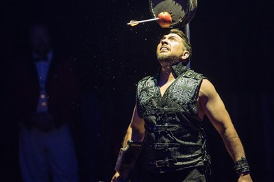 Photo 2 de Cirque Pinder | Angers