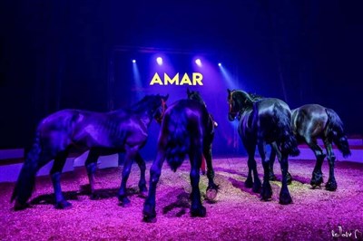 La cavalerie du Cirque AMAR