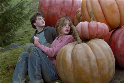 Photo 4 de Harry Potter et le Prisonnier d'Azkaban | Lille