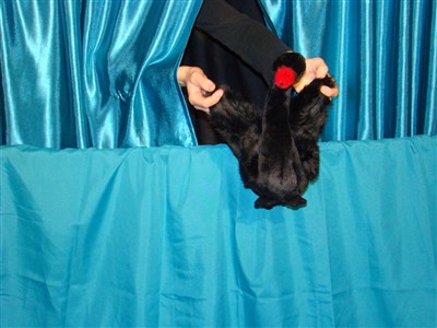 Photo 4 de Le vilain petit canard