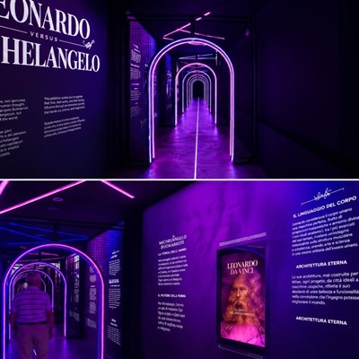 Photo 1 de Leonardo versus Michelangelo | Le défi immersif