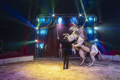 Photo 2 de Cirque Sébastien Zavatta | Les Sables d'Olonne
