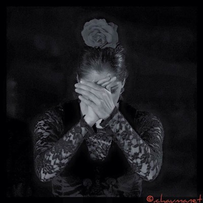 Photo 1 de Amor del flamenco