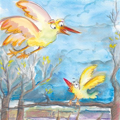 Photo 1 de L'Oiseau de toutes les couleurs