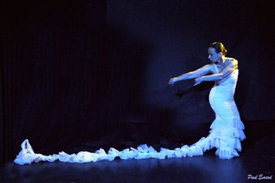 Photo 2 de Déracinés | Flamenco