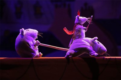 Photo 1 de Noël sur les toits