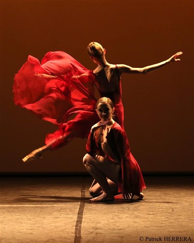 Photo 4 de Duo et pas de Deux