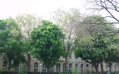 Photo 3 de Visite guidée : Le canal Saint-Martin | Par Pierre Malzieu