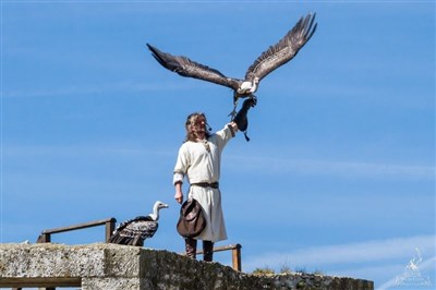 Les Aigles des Remparts