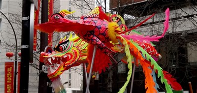 phénix et dragon-poisson