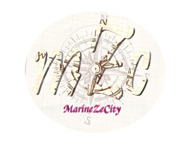 Logo MarineZecity