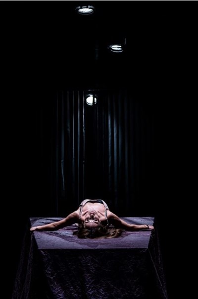Photo 1 de L'amant de Harold Pinter