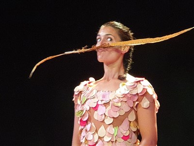 Photo 3 de Pirouette, la danse des 4 saisons