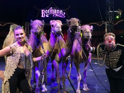 Photo 3 de Cirque Bormann Moreno présente son Juracirque