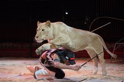 Photo 2 de Cirque Pinder dans La Légende ! | - Paris