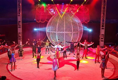 Photo 3 de Le Cirque Nicolas Zavatta Douchet dans Olé | Rambouillet