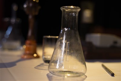 Photo 2 de Les palmes de Monsieur Schutz