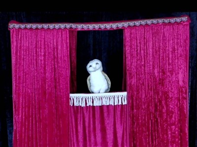 Photo 3 de Des Animaux et des Fables