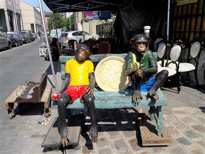 Les puces