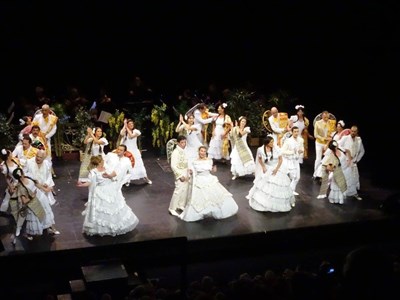 Photo 1 de Le Grand Gala Opéra / opérette de l'ALDB