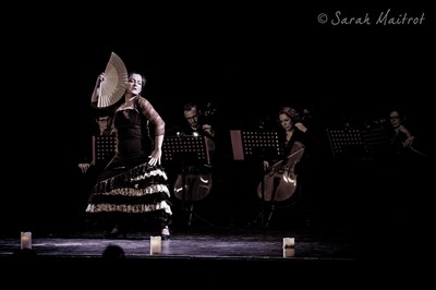 Photo 4 de Flamenco mon amour 3