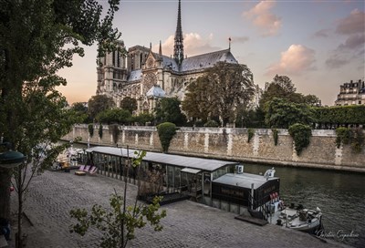 Photo 1 de Roman Frayssinet dans Notre-Dame